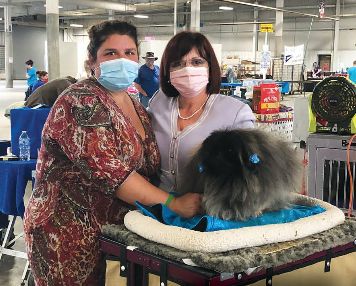 Lincoln, Nebraska, 2020